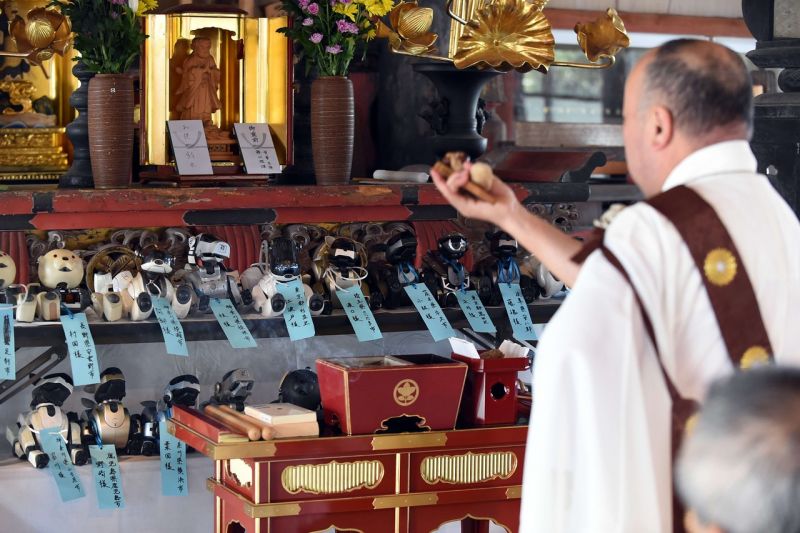 nhà sư đang thực hiện nghi lễ cho những robot vật nuôi nhà sư đang thực hiện nghi lễ cho những robot vật nuôi
